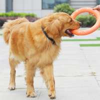 Dropshipping Pet Flying Discs EVA Dog Training Ring Puller Resistant Bite Floating Toy Puppy Outdoor Interactive Products