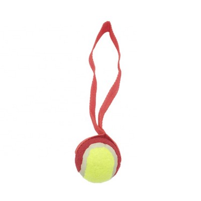 Pet Toys Dog Chew Toys With Tennis Ball